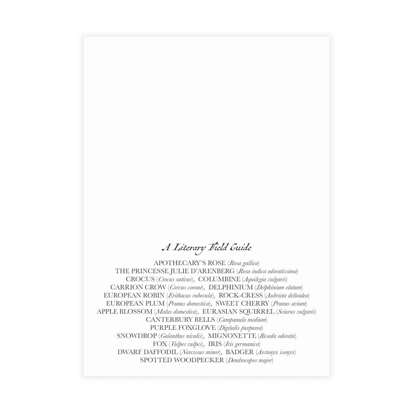 The Secret Garden Flora and Fauna Postcard (Set of 10 identical cards)