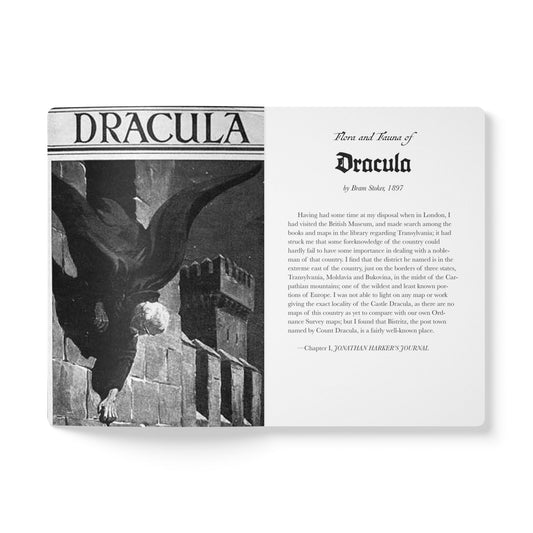 Dracula Blank Notebook — Softcover Inspiration & Writing Journal