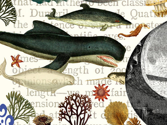 20,000 Leagues Under the Seas Literary Field Guide