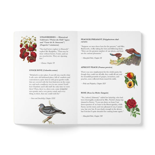 Jane Austen Blank Notebook — Softcover Natural History Writing Journal