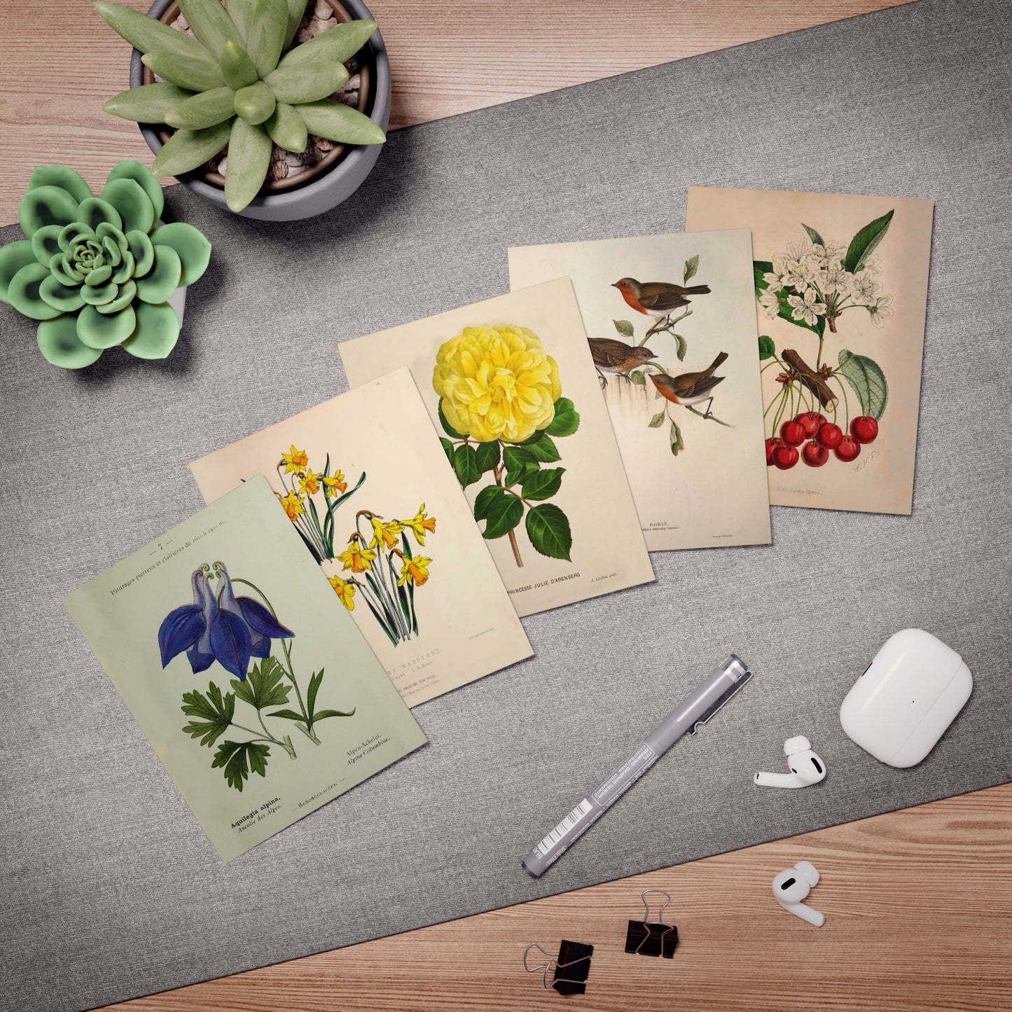 The Secret Garden Note Cards (5 different cards) — Vintage Natural History Illustrations