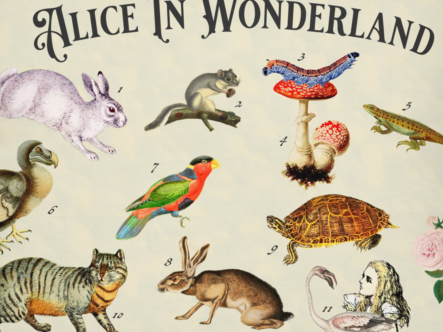 Alice in Wonderland Story Pillow