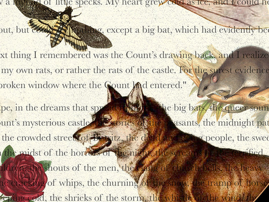 Dracula Literary Field Guide Collage
