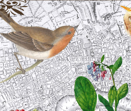 London, England — Vintage Natural History Collage