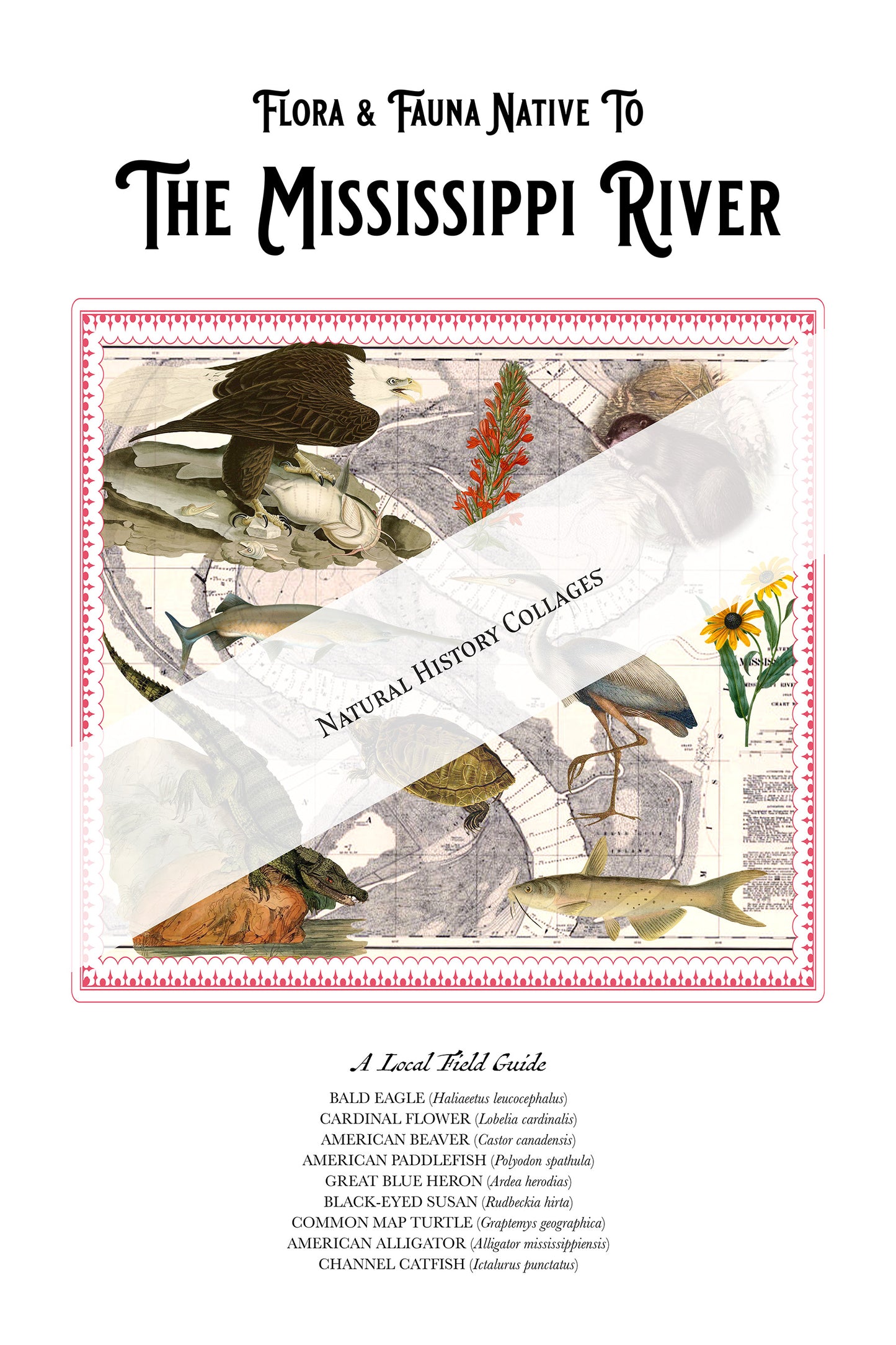 The Mississippi River — Vintage Natural History Collage