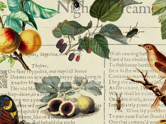 A Midsummer Night's Dream Field Guide