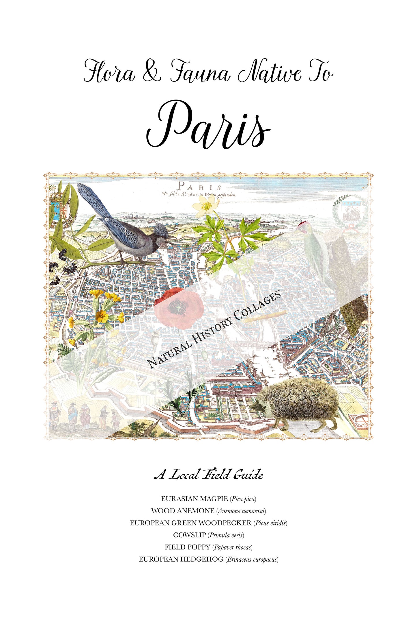Paris, France — Vintage Natural History Collage