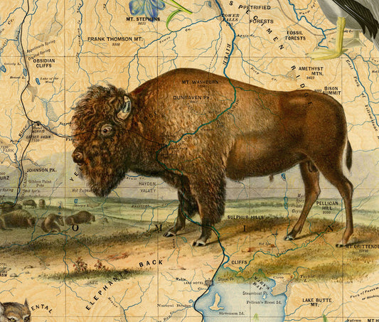 Yellowstone National Park Art Print — Vintage Natural History Collage