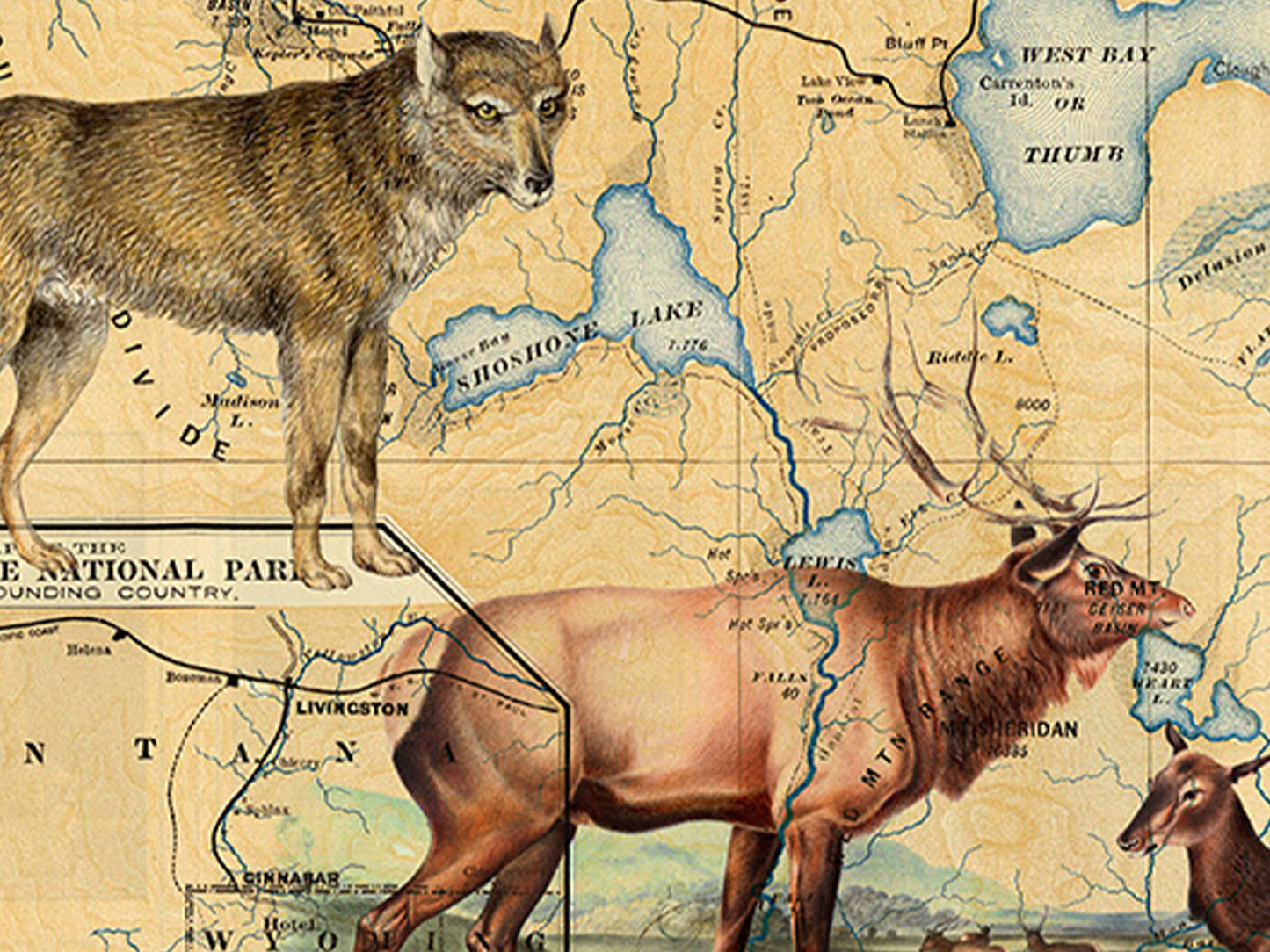 Yellowstone National Park Postcard (Set of 10 Identical Cards) — Vintage Natural History Collage