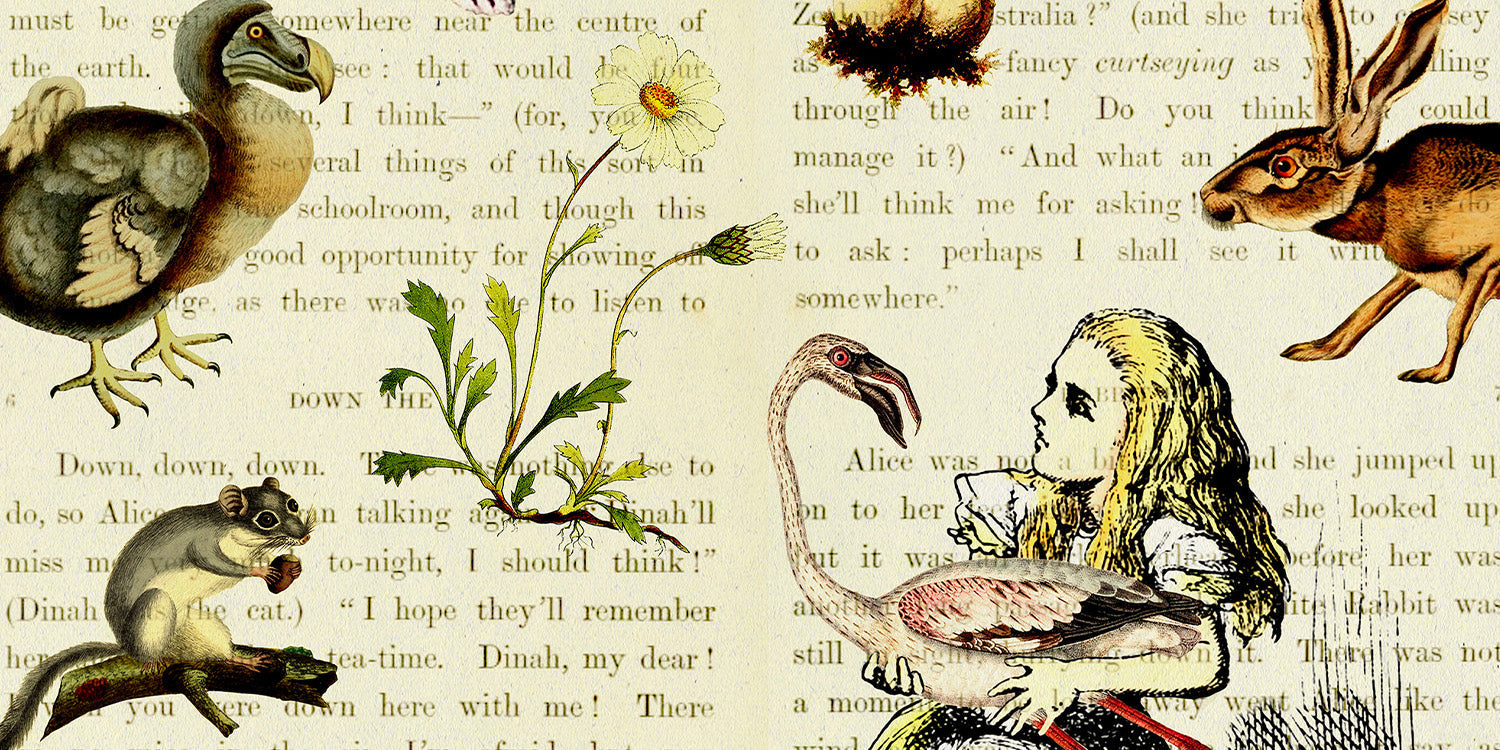 Art & Stationery Inspired by Classic Literature