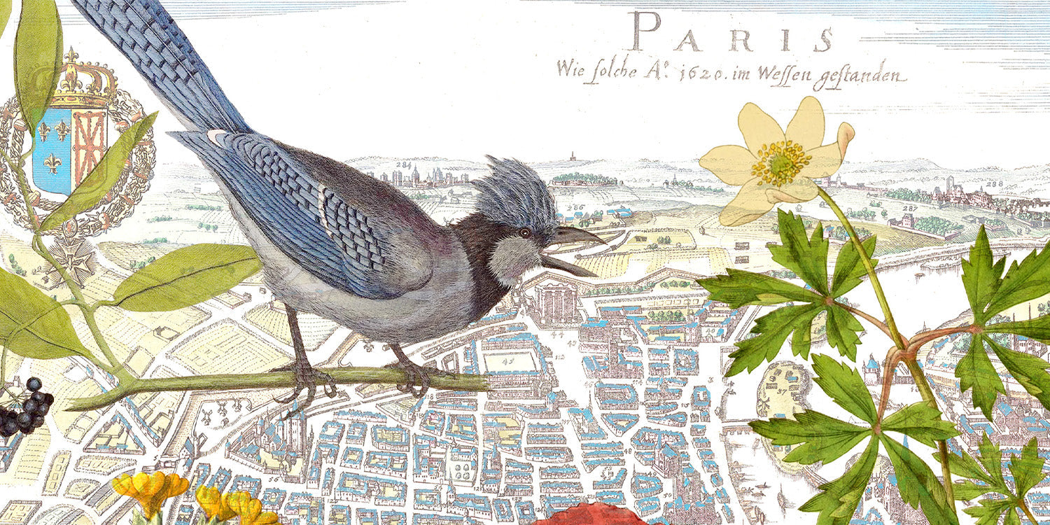 Art & Stationery Inspired by Local Nature and Wild Places