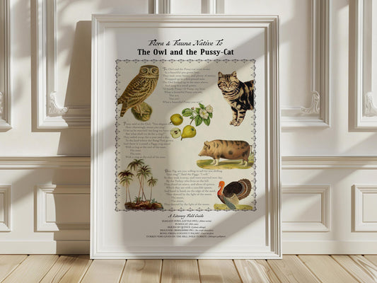 The Owl and the Pussy-cat, a nonsense poem by Edward Lear — Literary Field Guide & Vintage Natural History Collage
