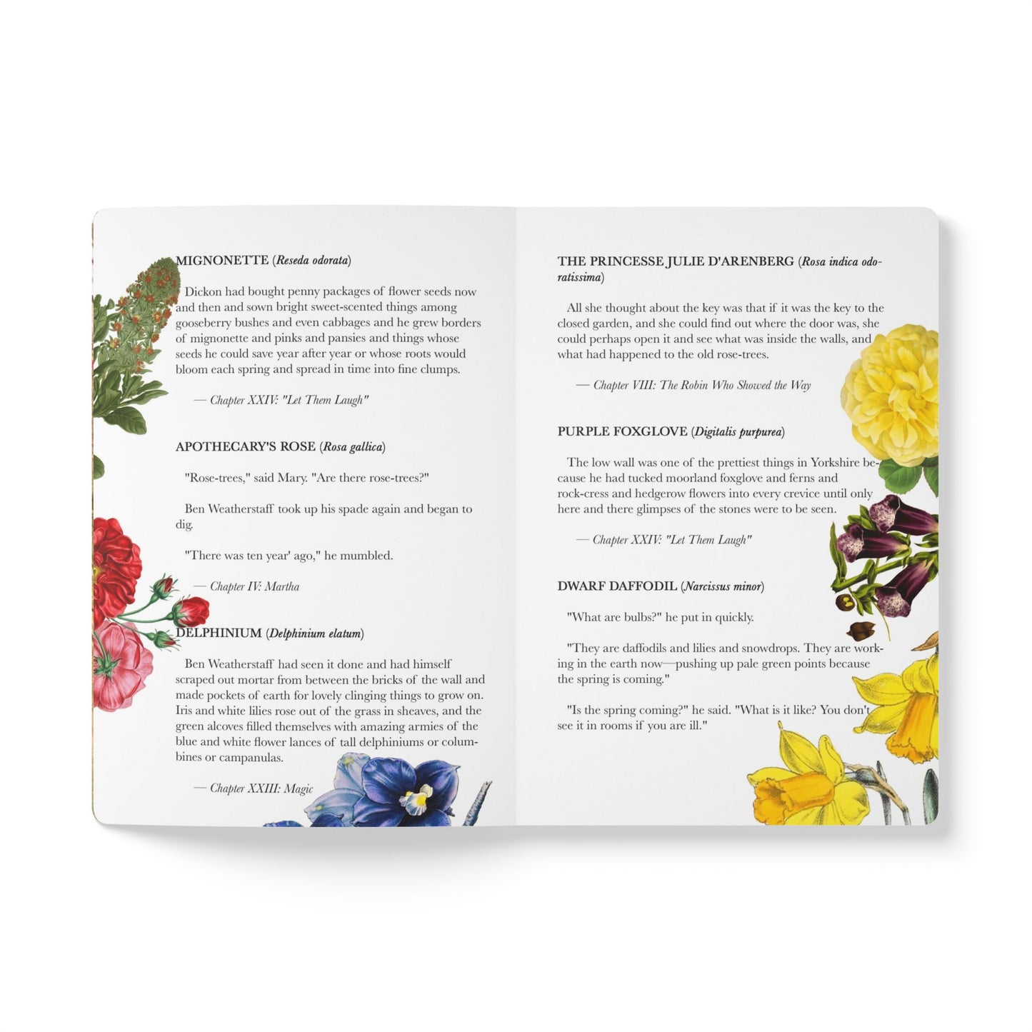 Secret Garden Blank Notebook — Softcover Journal with Vintage Illustrations