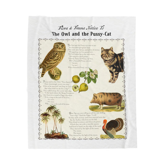 The Owl and the Pussy-Cat Velveteen Blanket