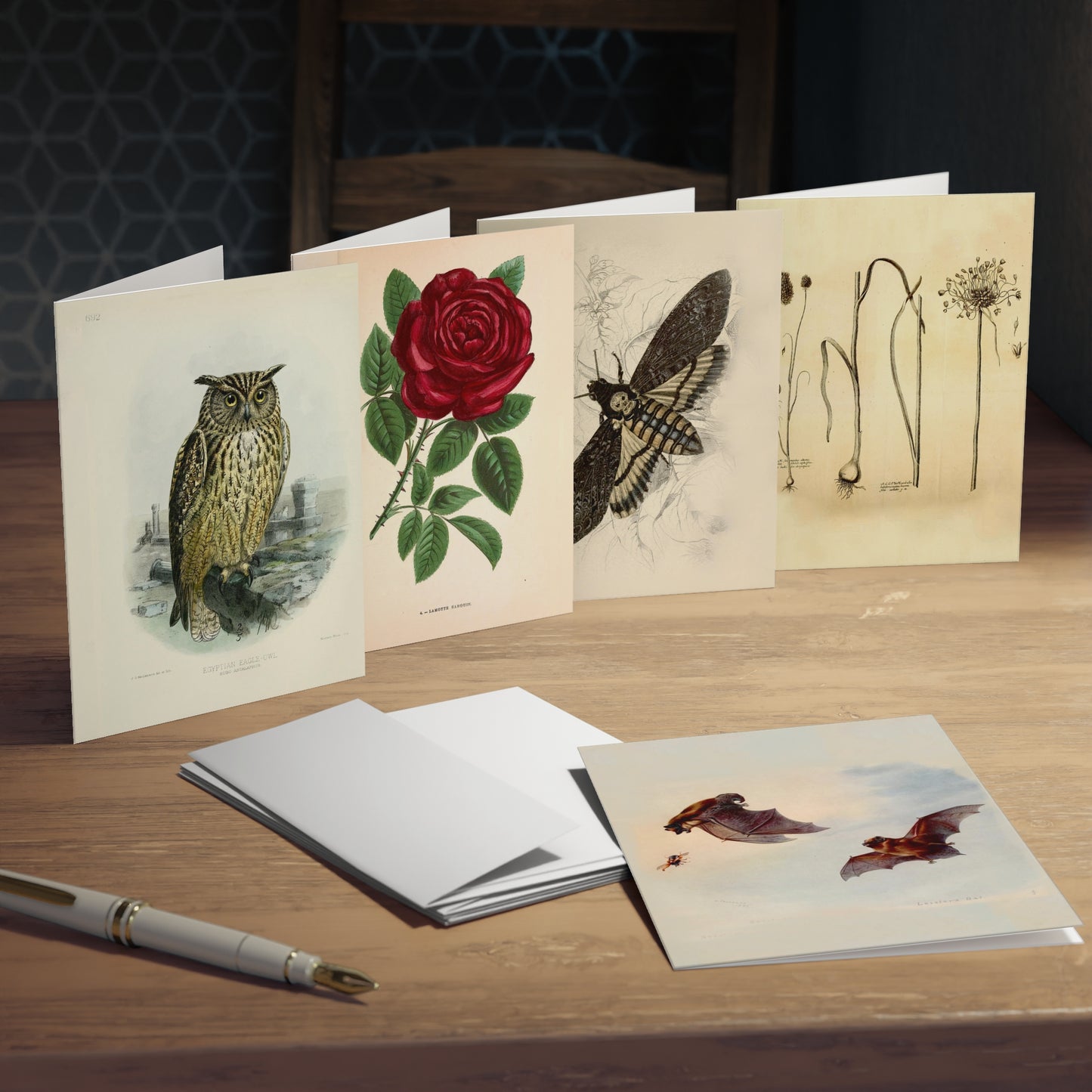 Dracula Note Cards (5 different cards) — Vintage Natural History Illustrations