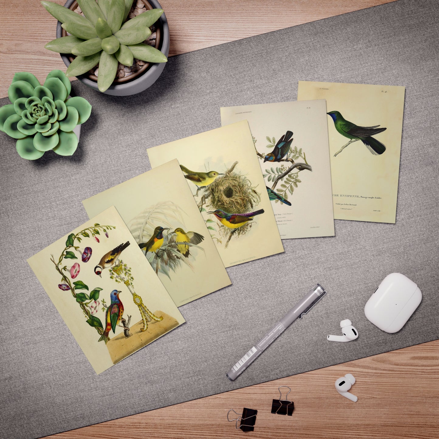 Romantic Birds Note Cards (5 different cards) — Vintage Natural History Illustrations