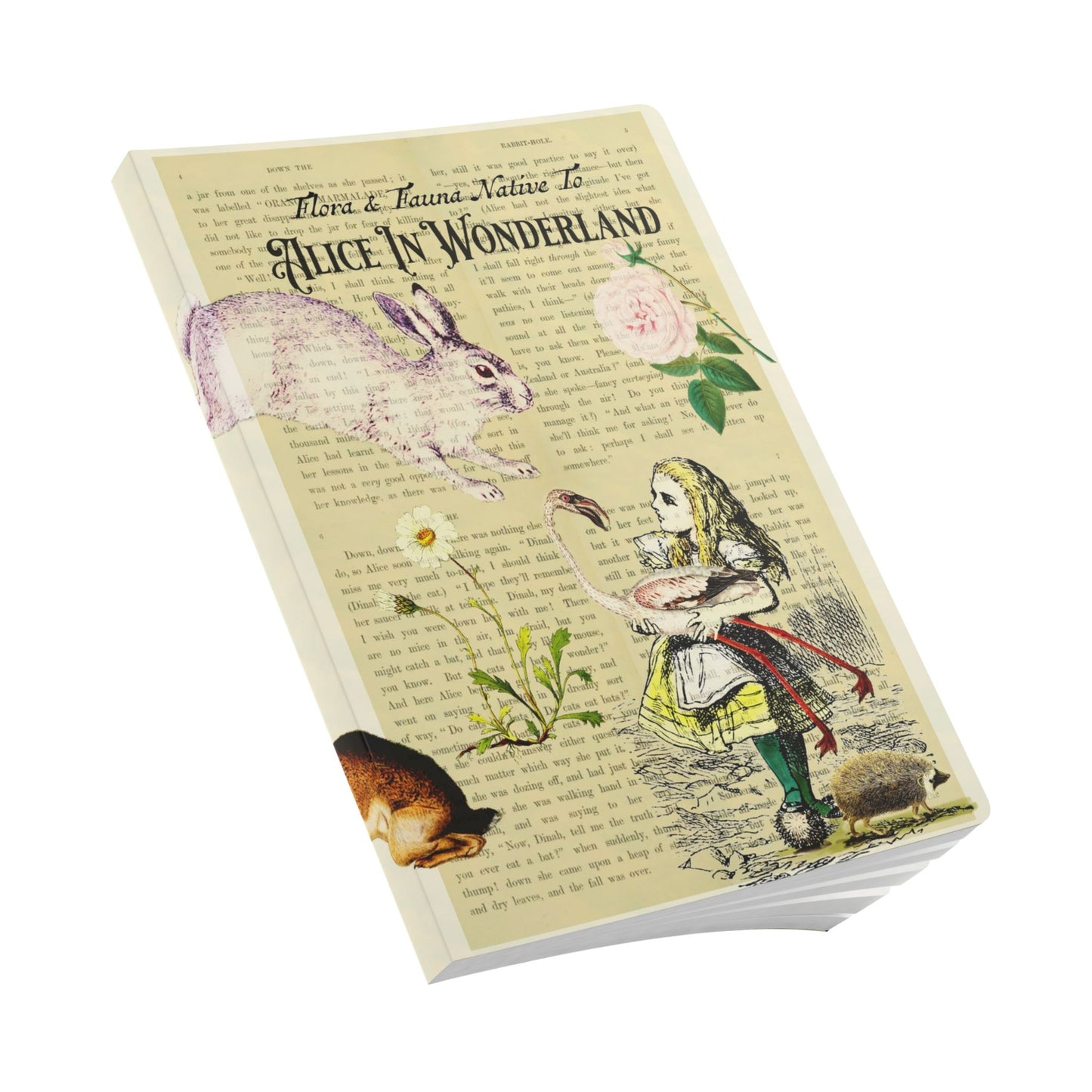 Alice In Wonderland Blank Notebook — Softcover Journal with Vintage Illustrations