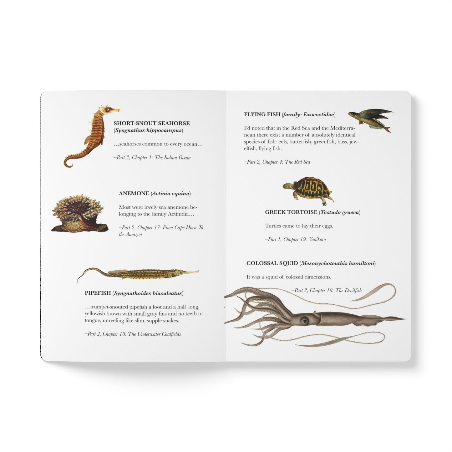 20,000 Leagues Under the Seas Blank Notebook — Softcover Inspiration & Writing Journal