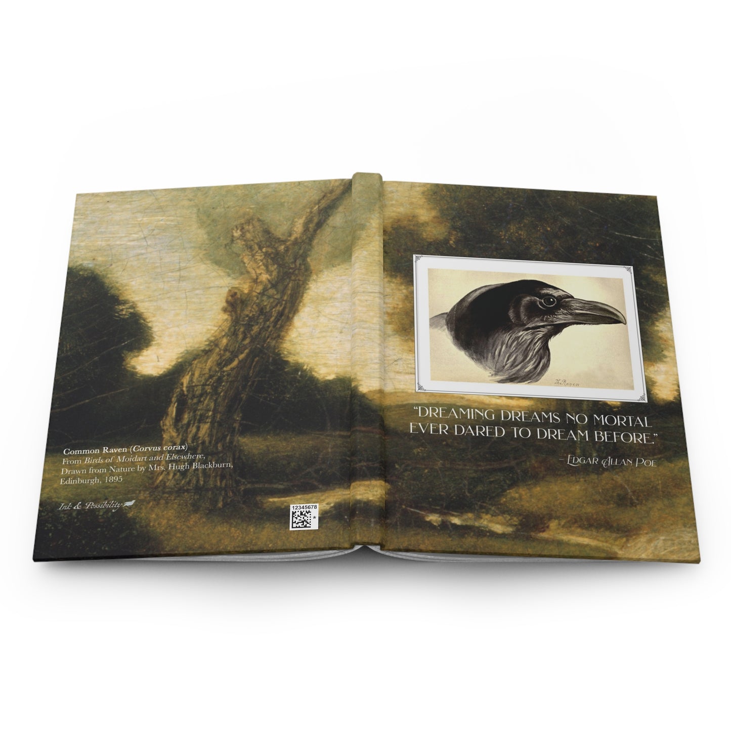 Edgar Allan Poe Hardcover Journal with Vintage Raven Illustration