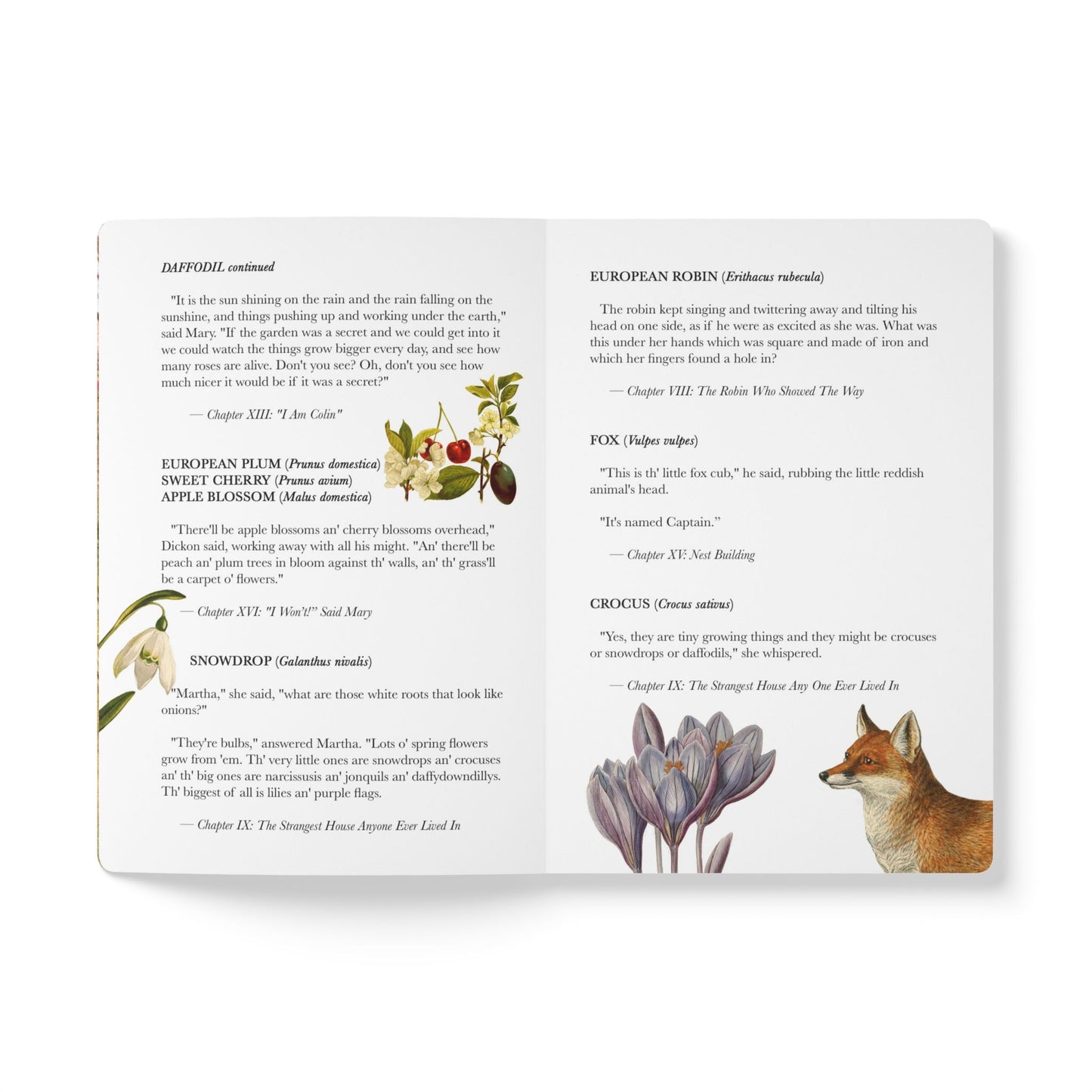 Secret Garden Blank Notebook — Softcover Journal with Vintage Illustrations