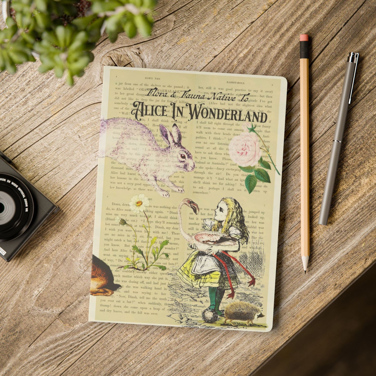 Alice In Wonderland Blank Notebook — Softcover Journal with Vintage Illustrations