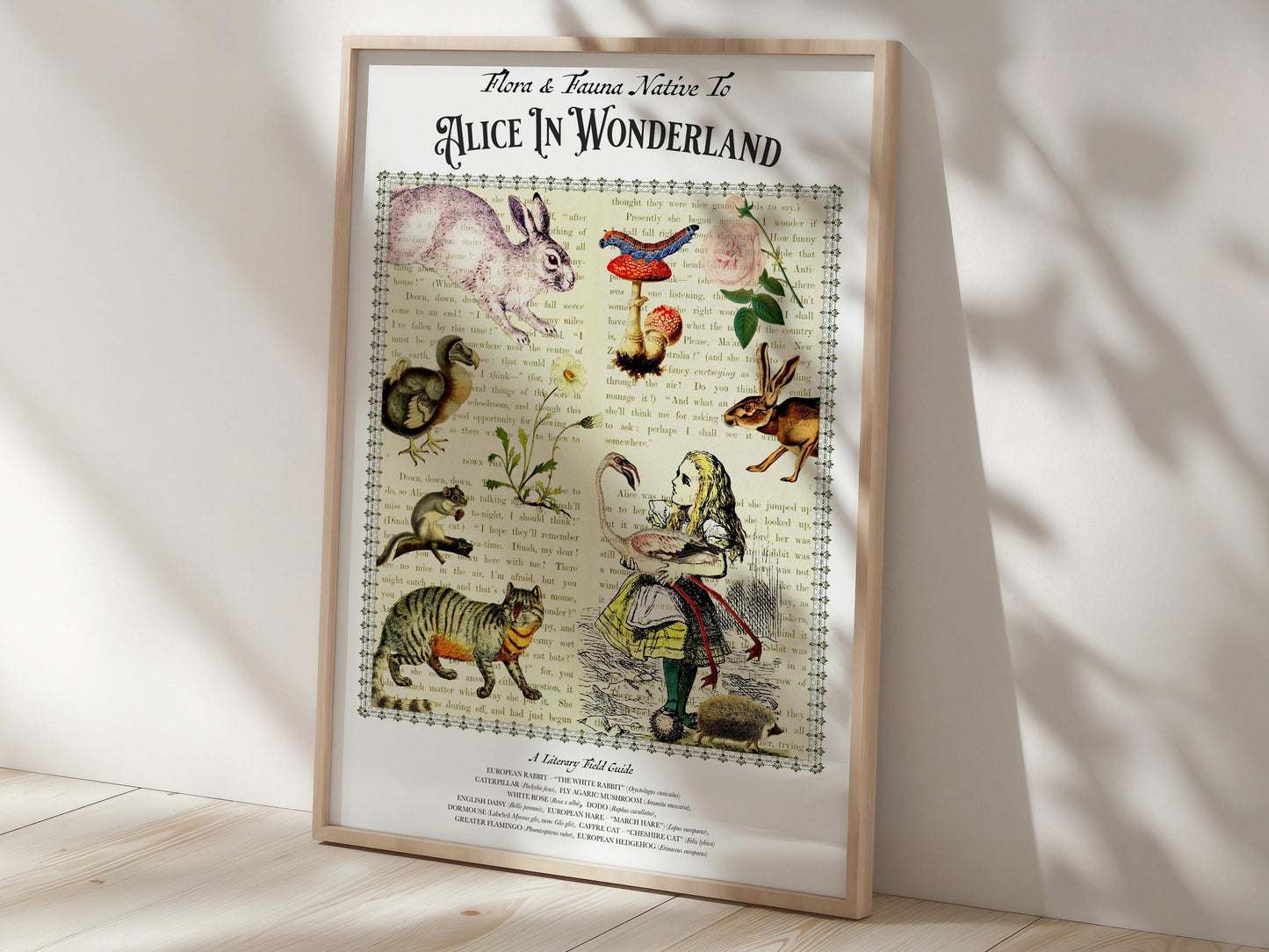 Alice In Wonderland Literary Field Guide