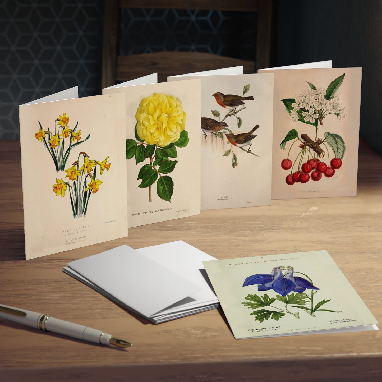 The Secret Garden Note Cards (5 different cards) — Vintage Natural History Illustrations
