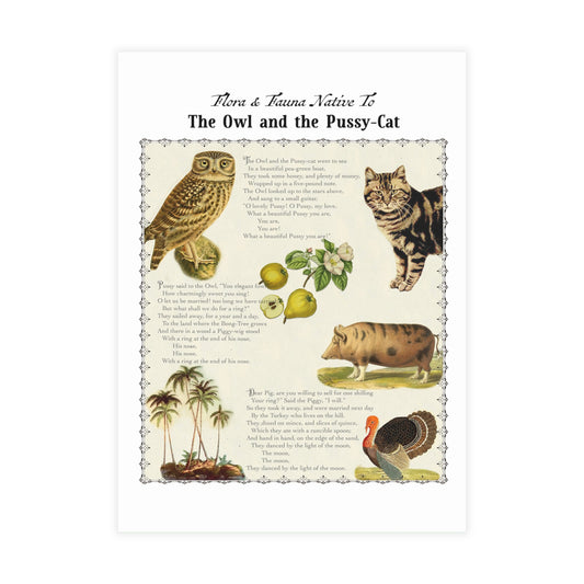 The Owl and the Pussy-cat Postcard (Set of 10 identical cards) — Vintage Natural History Collage