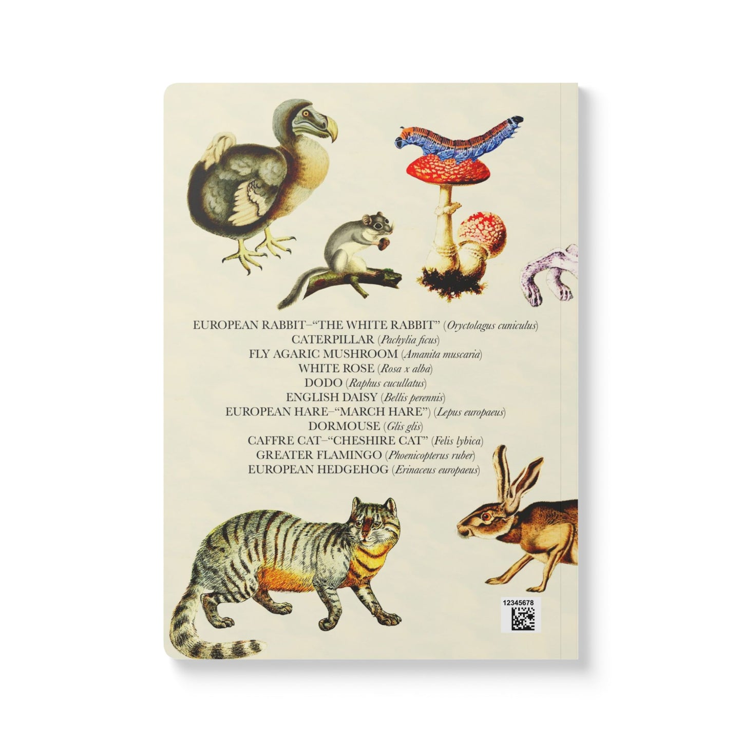 Alice In Wonderland Blank Notebook — Softcover Journal with Vintage Illustrations