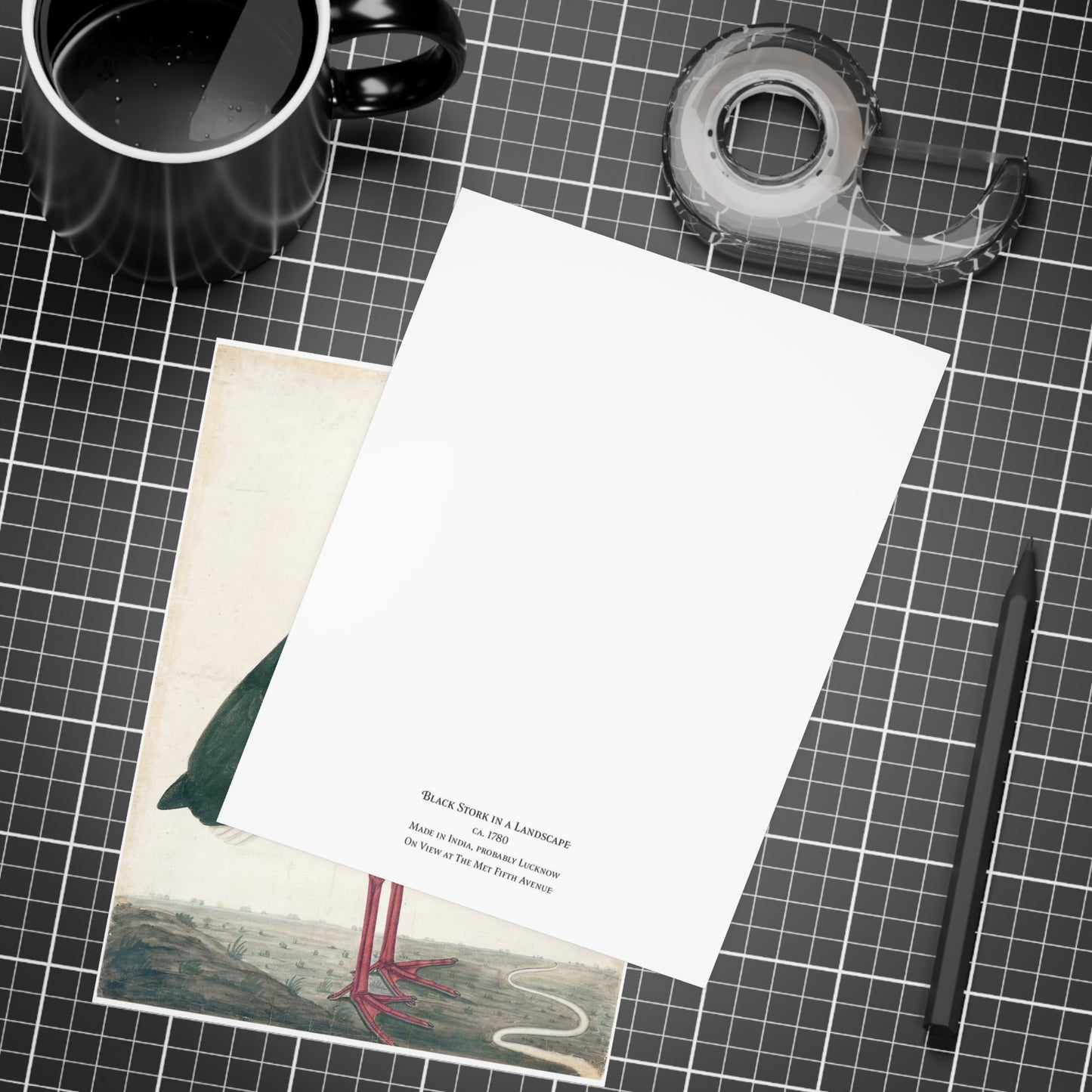 Black Stork In a Landscape Postcard (Set of 10 Identical Cards) — Vintage Natural History Plate