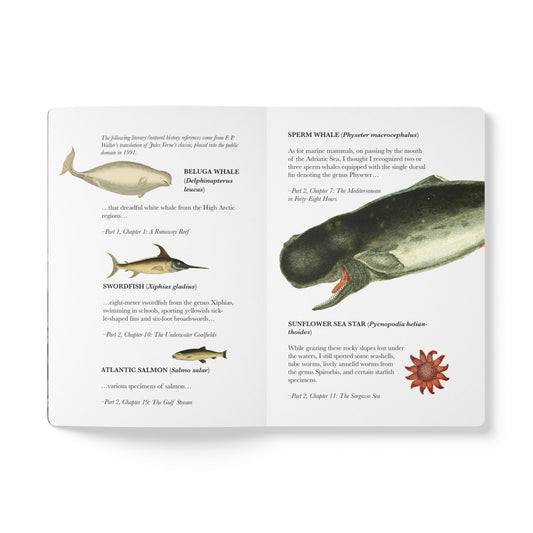 20,000 Leagues Under the Seas Blank Notebook — Softcover Inspiration & Writing Journal