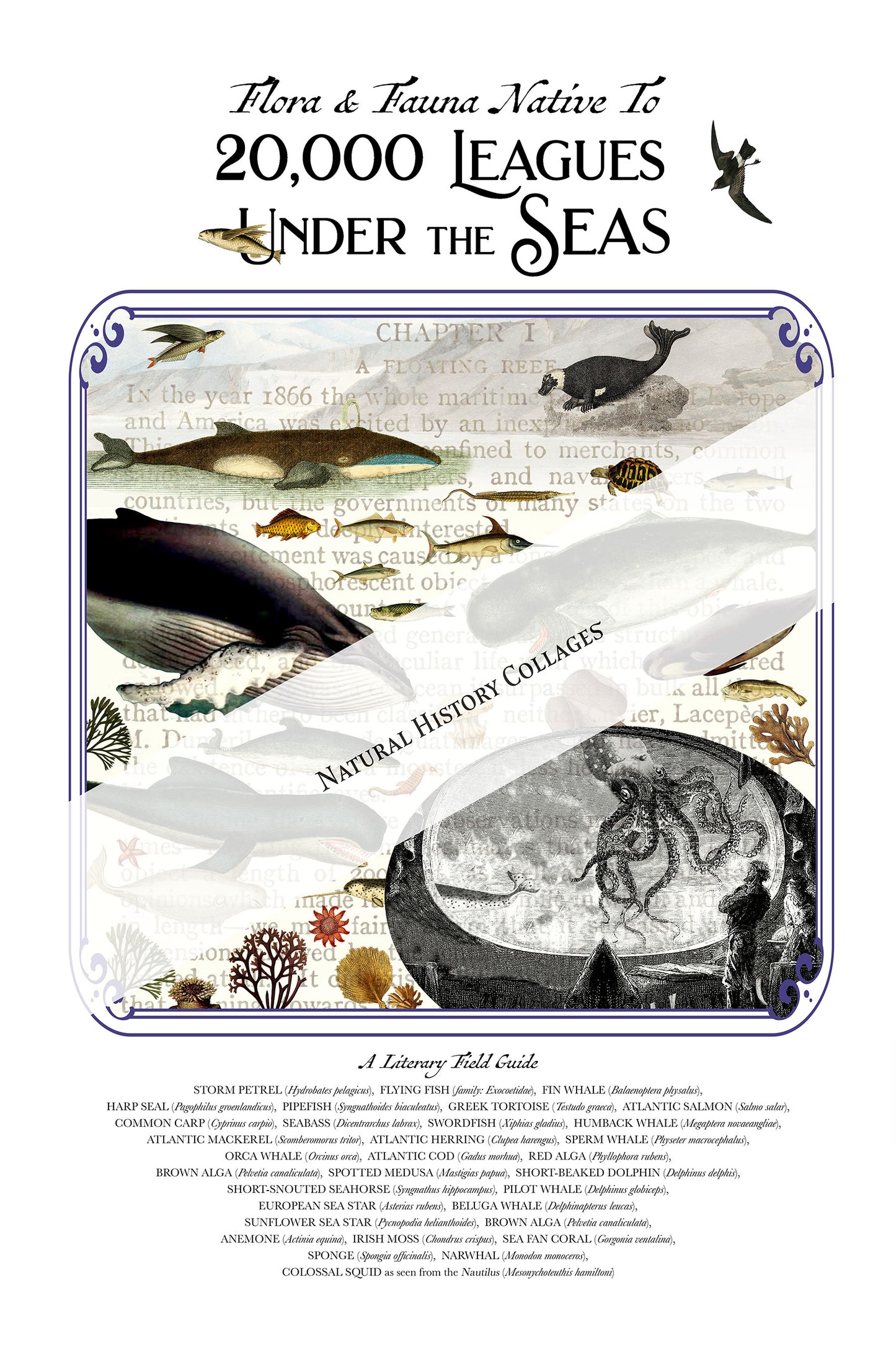 20,000 Leagues Under the Seas Literary Field Guide