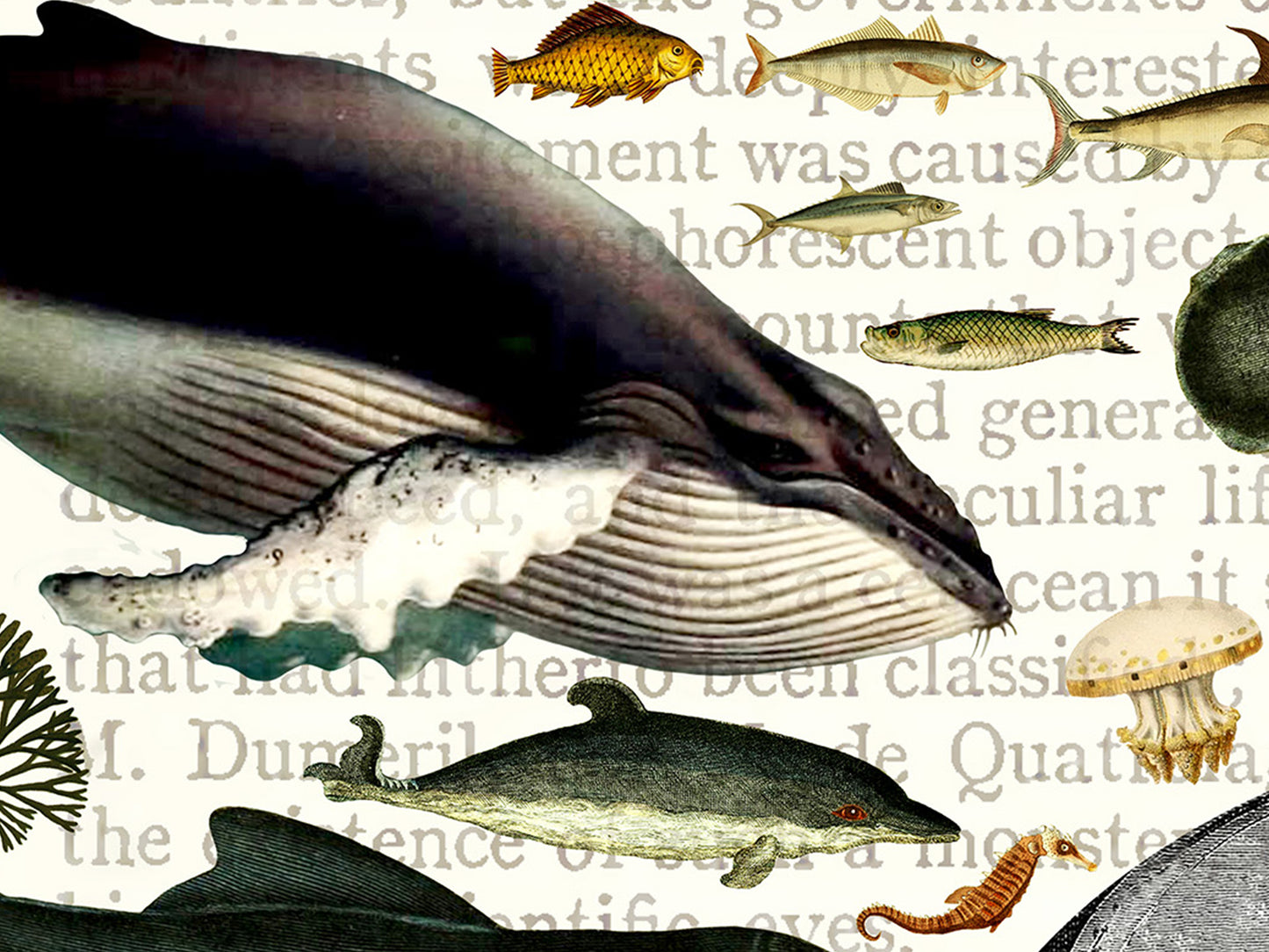 20,000 Leagues Under the Seas Literary Field Guide