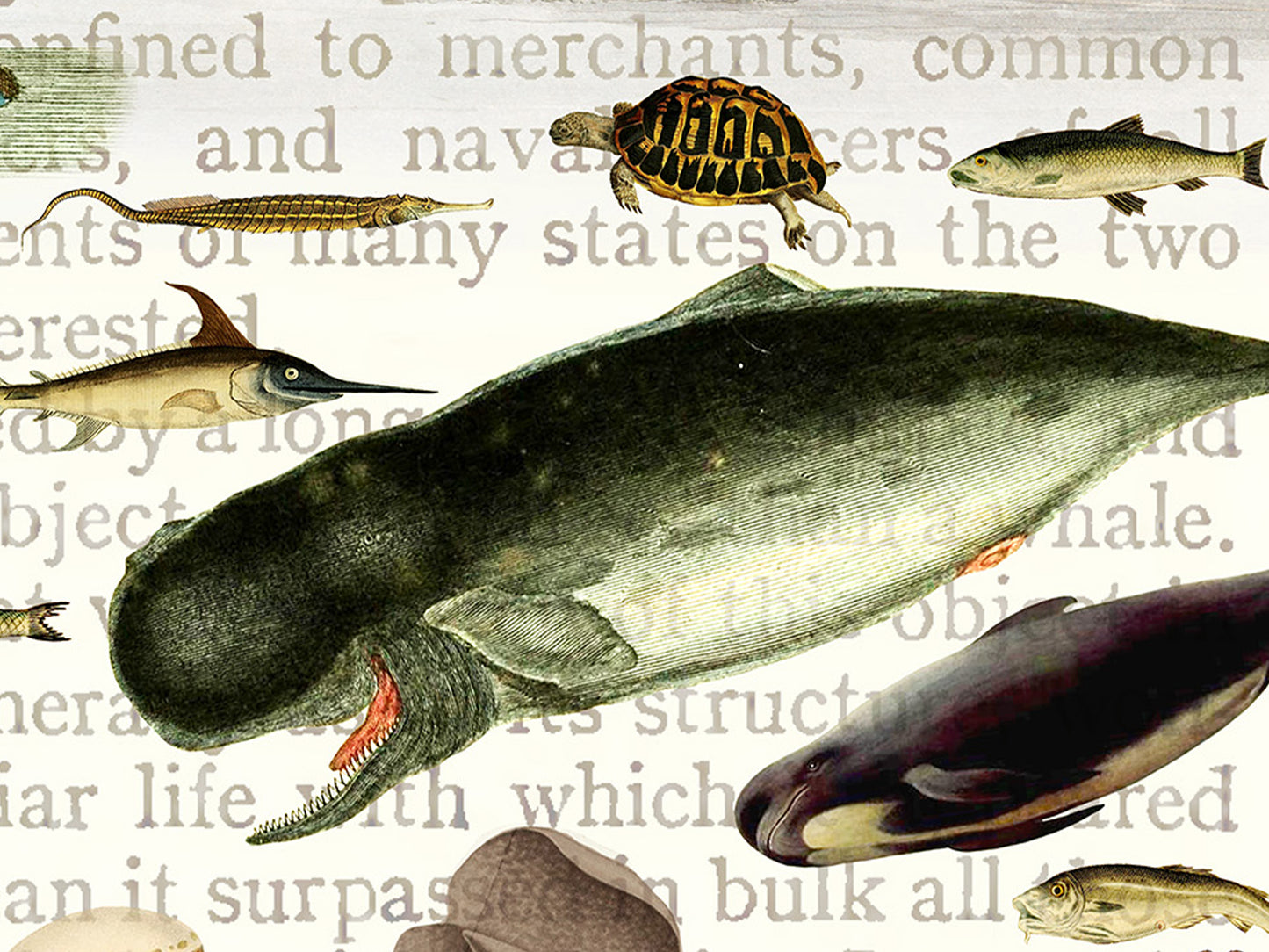 20,000 Leagues Under the Seas Literary Field Guide