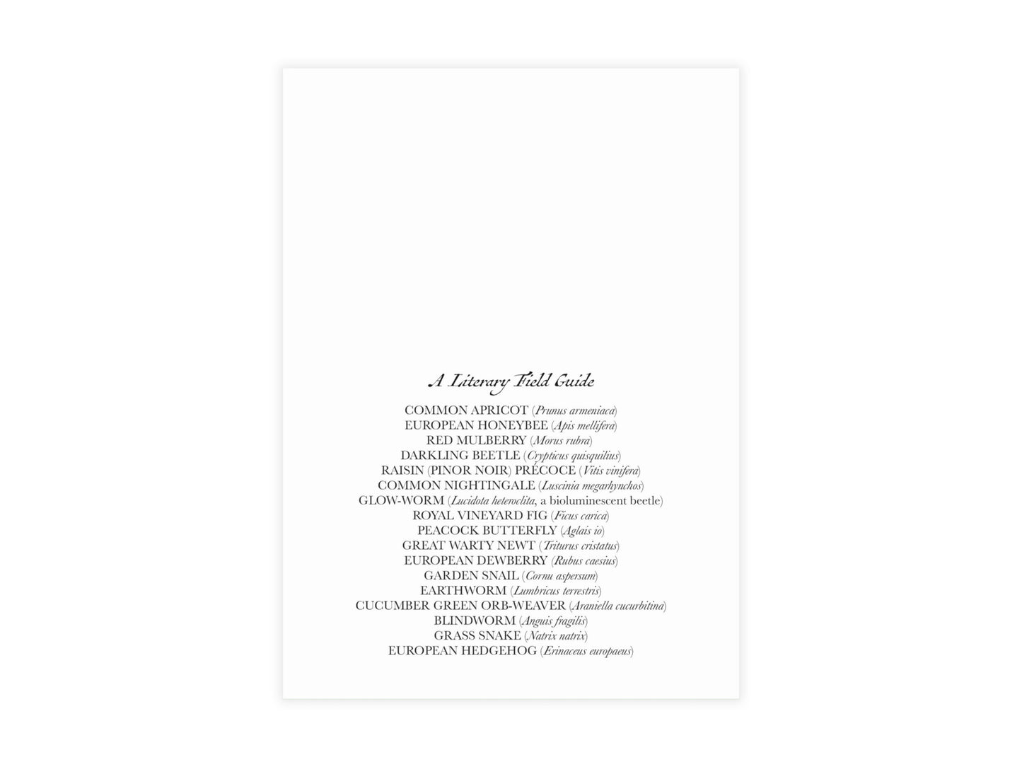 A Midsummer Night's Dream Postcard (Set of 10 identical cards) — Vintage Natural History Collage