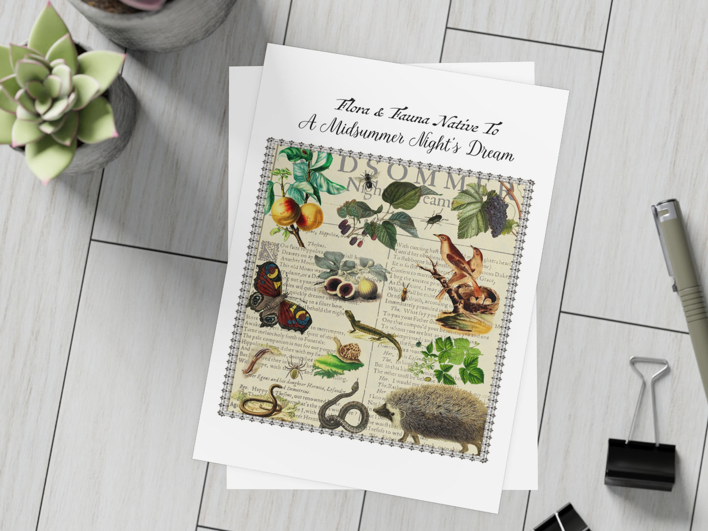A Midsummer Night's Dream Postcard (Set of 10 identical cards) — Vintage Natural History Collage