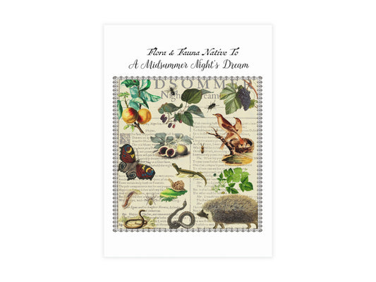 A Midsummer Night's Dream Postcard (Set of 10 identical cards) — Vintage Natural History Collage