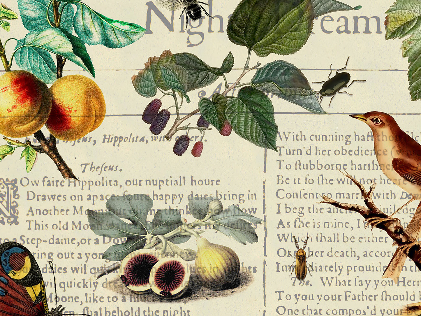A Midsummer Night's Dream Postcard (Set of 10 identical cards) — Vintage Natural History Collage