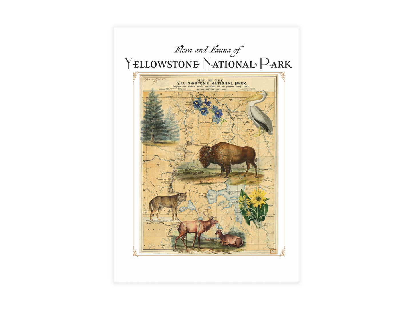 Yellowstone National Park Postcard (Set of 10 Identical Cards) — Vintage Natural History Collage