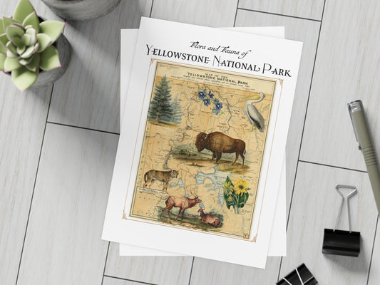 Yellowstone National Park Postcard (Set of 10 Identical Cards) — Vintage Natural History Collage