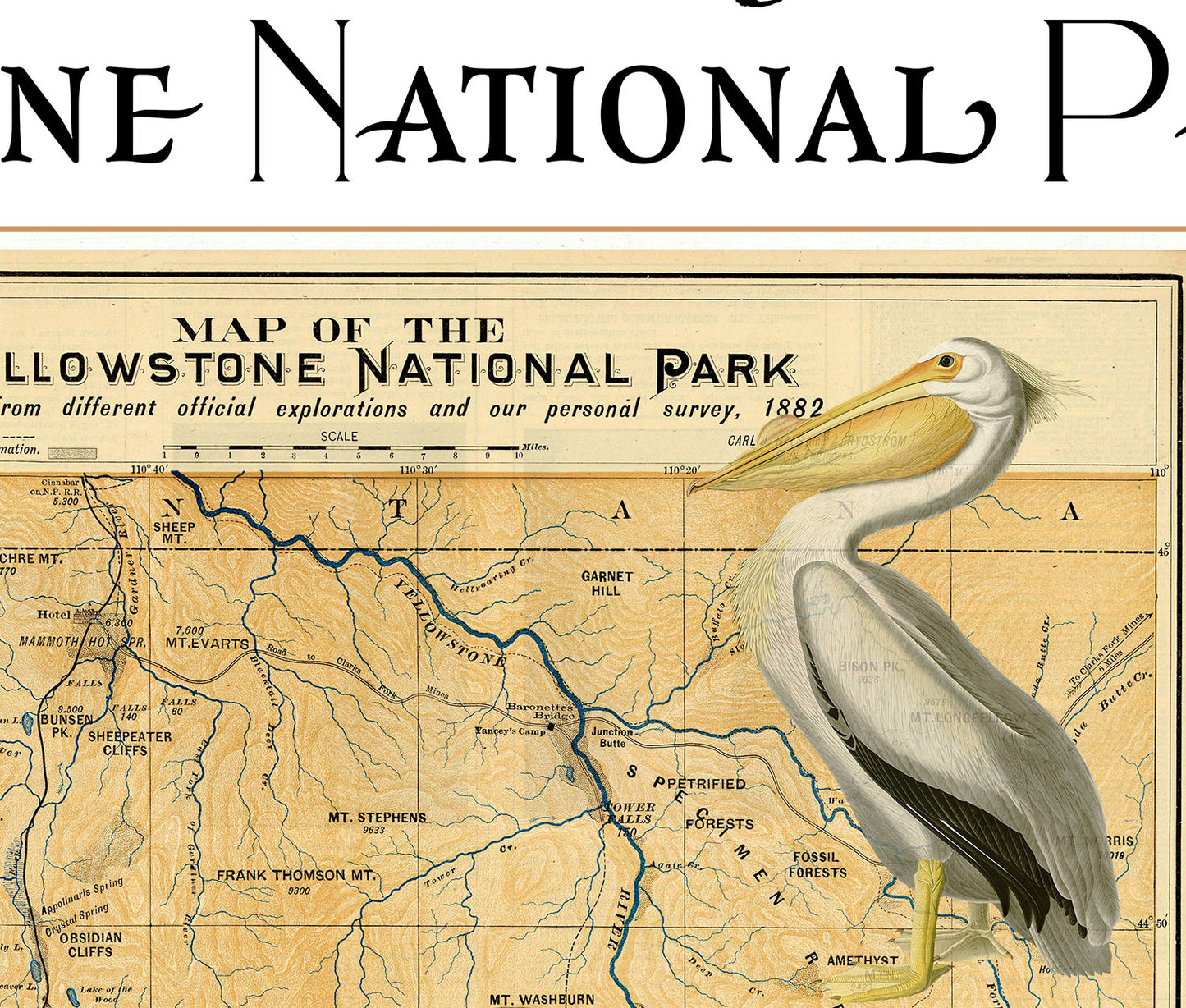 Yellowstone National Park Postcard (Set of 10 Identical Cards) — Vintage Natural History Collage