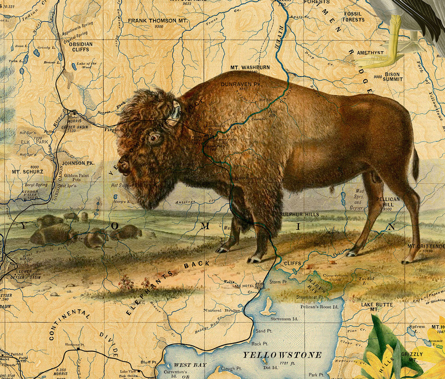 Yellowstone National Park Postcard (Set of 10 Identical Cards) — Vintage Natural History Collage