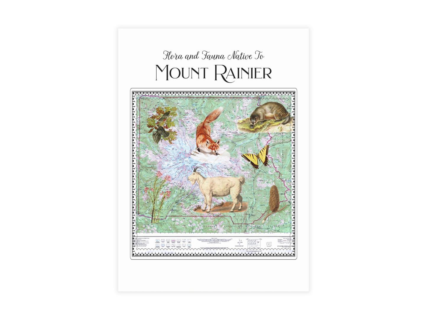 Mt. Rainier National Park Postcard (Set of 10 identical cards) — Vintage Natural History Collage