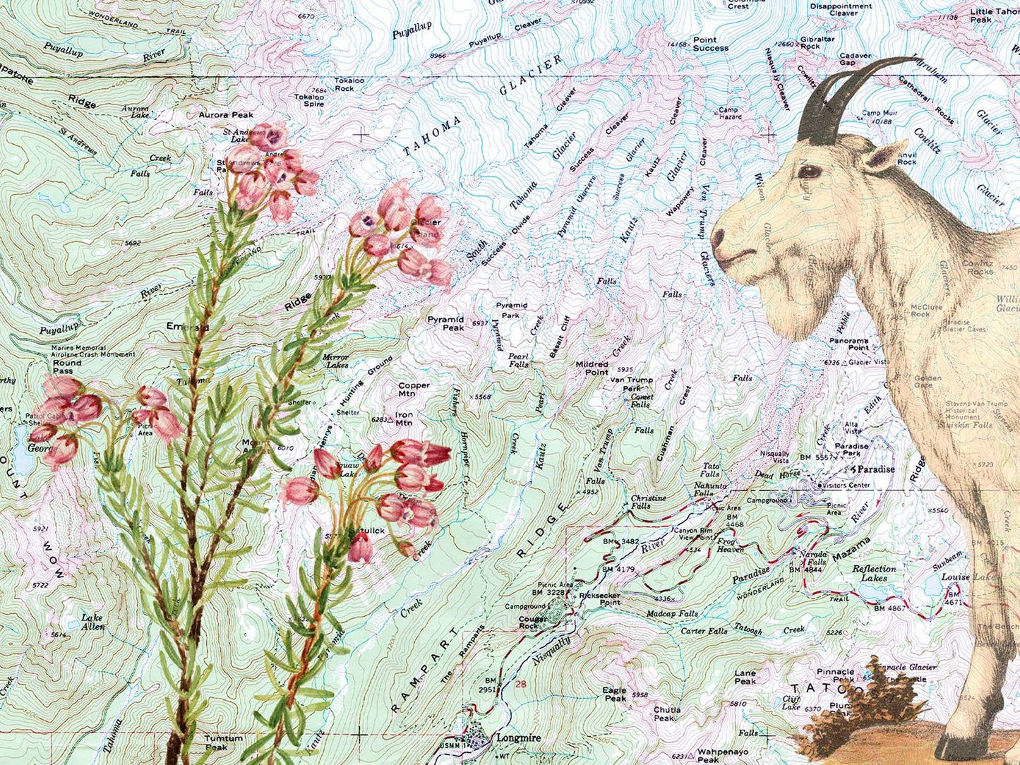 Mt. Rainier National Park Postcard (Set of 10 identical cards) — Vintage Natural History Collage