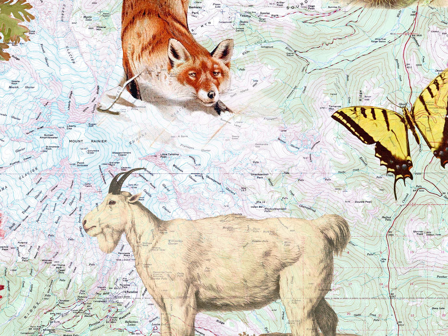 Mt. Rainier National Park Postcard (Set of 10 identical cards) — Vintage Natural History Collage