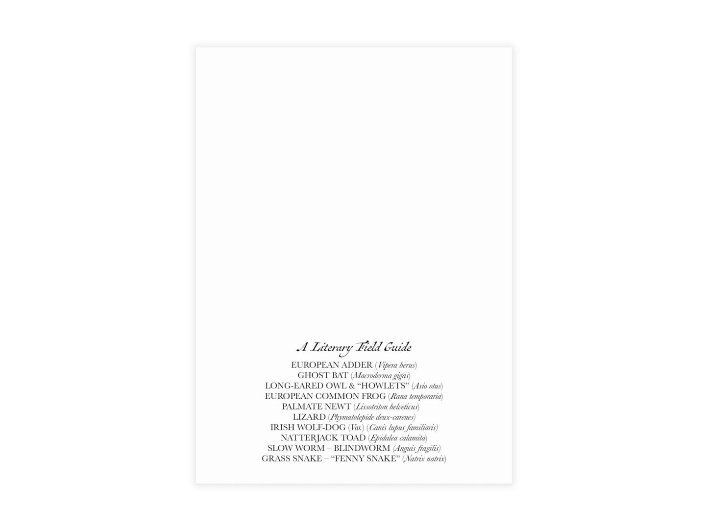 Macbeth Postcard (Set of 10 identical cards) — Vintage Natural History Collage