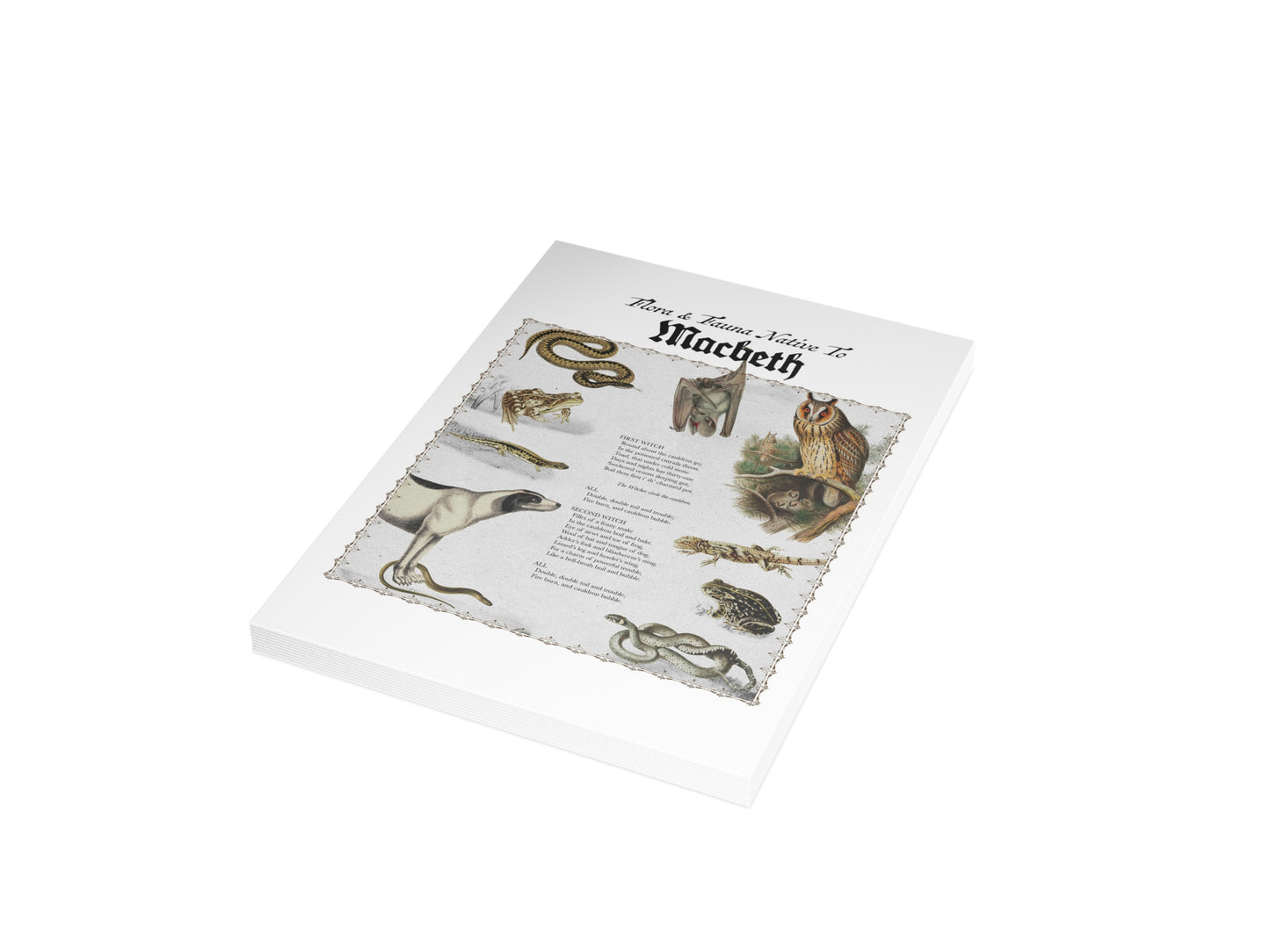 Macbeth Postcard (Set of 10 identical cards) — Vintage Natural History Collage