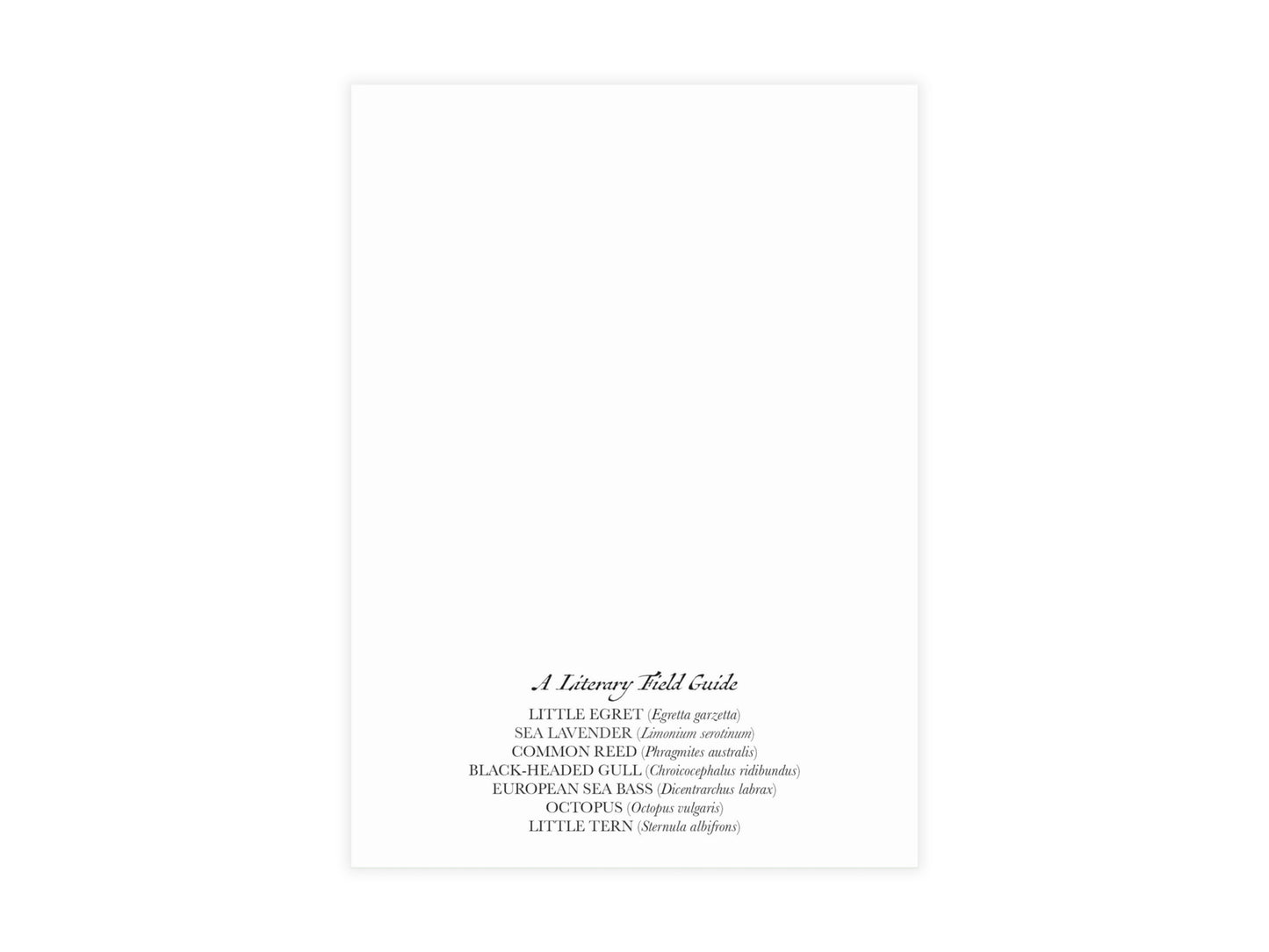 Venice, Italy Postcard (Set of 10 Identical Cards) — Vintage Natural History Collage