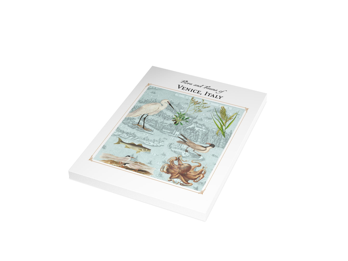 Venice, Italy Postcard (Set of 10 Identical Cards) — Vintage Natural History Collage