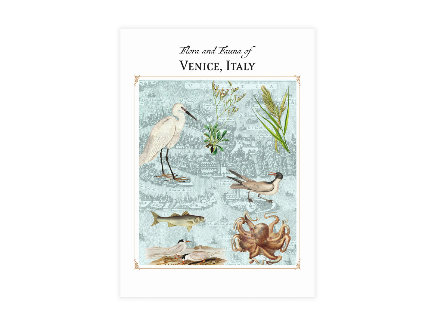 Venice, Italy Postcard (Set of 10 Identical Cards) — Vintage Natural History Collage